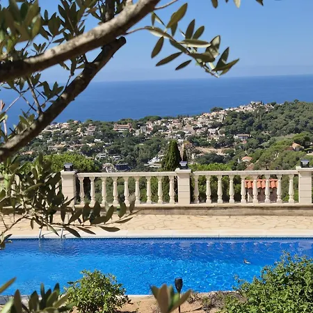 Дом отдыха Majestic